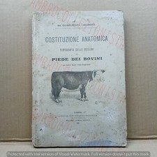 Libro costituzione anatomica usato  Cuneo