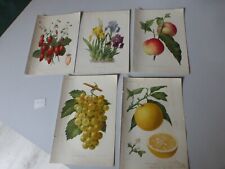 Lot chromolitho goffart d'occasion  Clermont-Ferrand-