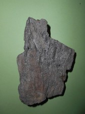 legno fossile usato  Villa San Giovanni