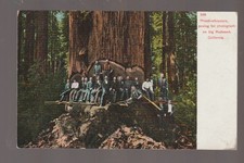 California 1910 lumberjacks for sale  Decorah