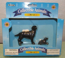 Black lab labrador for sale  Newport