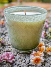 cut fresh lavender for sale cut fresh lavender for sale Saint Cloud