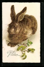 Sterhase frei dürer gebraucht kaufen  Berlin