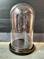 cloche for sale cloche for sale RYDE