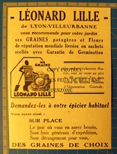 Graines leonard lille d'occasion  Beaumont-de-Lomagne