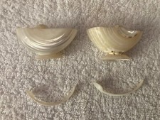 Antique pair mother for sale  SAFFRON WALDEN