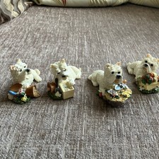 Four little westie for sale  TELFORD