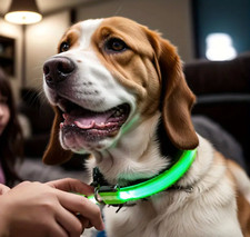 Collier led rechargeable d'occasion  Les Andelys