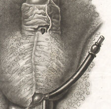 1835 gravure anatomie d'occasion  Besançon