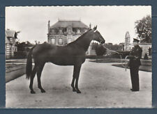 Cpsm 1960 faune d'occasion  Bourg-en-Bresse