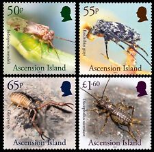 Ascension island 2024 d'occasion  Expédié en Belgium