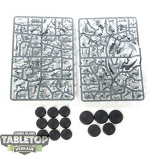 Seraphon 13x warcry gebraucht kaufen  Hof