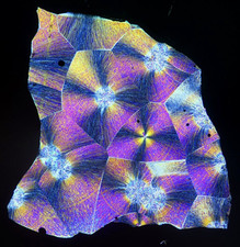 microscope slides for sale  BRISTOL