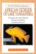 African cichlids lake for sale  Fort Lauderdale