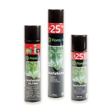 Leafshine oasis floralife for sale  EXETER