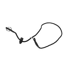 Dingo gear collare usato  Roccagloriosa