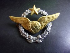 Aviation brevet pilote d'occasion  Gray