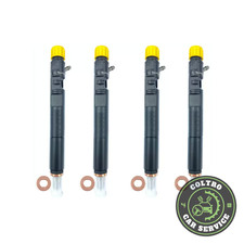 Iniettore delphi ejbr02101z usato Iniettore delphi ejbr02101z usato  Bovolone