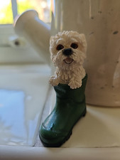Westie island white for sale  DONCASTER