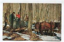 sap maple sugar for sale sap maple sugar for sale Danville