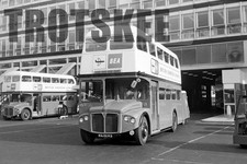 35mm negative bea for sale  HIGH WYCOMBE