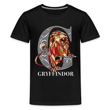 Harry potter gryffindor gebraucht kaufen  Leipzig
