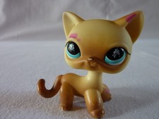 Petshop lps littlest d'occasion Petshop lps littlest d'occasion  Dannes