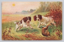 Cocker spaniel hunting for sale  Petaluma