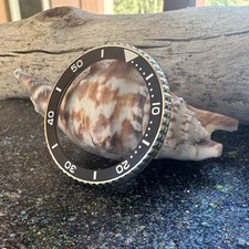 Genuine seiko bezel for sale  Kelseyville