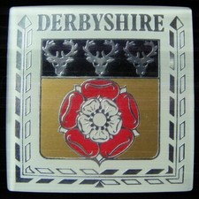 Derbyshire car badge for sale  SWANSEA