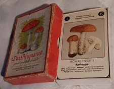 Pilzquartett bielefelder spiel gebraucht kaufen Pilzquartett bielefelder spiel gebraucht kaufen  Ludwigshafen am Rhein