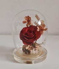 Flores preservadas em uma esfera de vidro 4" por Michael R. Curzon comprar usado  Enviando para Brazil