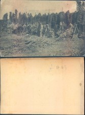 Hop picking scene for sale  ROSSENDALE