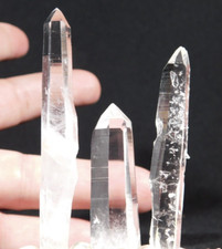 Lot three translucent for sale  Salt Lake City