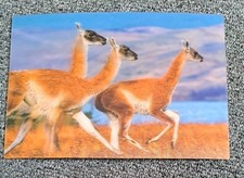 3d postkarten gebraucht kaufen 3d postkarten gebraucht kaufen Hamburg