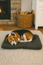 Bedsure comfy pet for sale  RUGBY