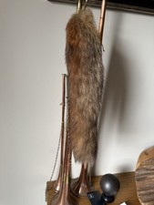 Taxidermy fox tail for sale  SOLIHULL