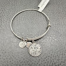 Pulseira de Prata Disney Alex and Ani Frozen Anna Elsa Parques 2014 Feminina Gi comprar usado  Enviando para Brazil