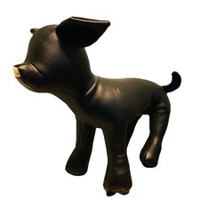 Medium premium dog for sale  Mouth of Wilson