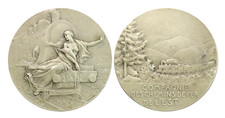 P052 medaglia argento usato  Torino