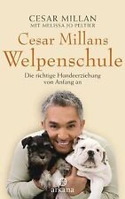 Cesar millans welpenschule gebraucht kaufen  Berlin