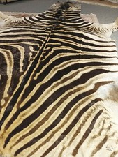 Zebrafell zebra jagd gebraucht kaufen  Parchim-Umland I