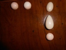 Antico cinque grandi usato Antico cinque grandi usato  Napoli