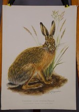 Landhausstil poster plakat gebraucht kaufen  Berghülen