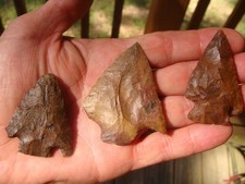 Ear ding florida for sale  Bainbridge