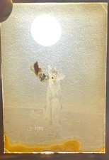 Ancienne photographie plaque d'occasion  Giromagny