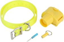 Collare beeper bip usato  Toritto