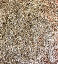 Messing späne trocken gebraucht kaufen  Owschlag