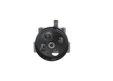 Bosch hydraulikpumpe lenkung gebraucht kaufen  Bautzen