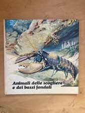 Animali delle scogliere usato  Palermo